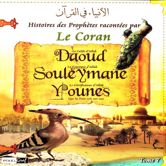 Histoires des Prophètes racontées par le Coran : Dâwûd, Sulaymân, Yûnus, tome 7 éditions Sana